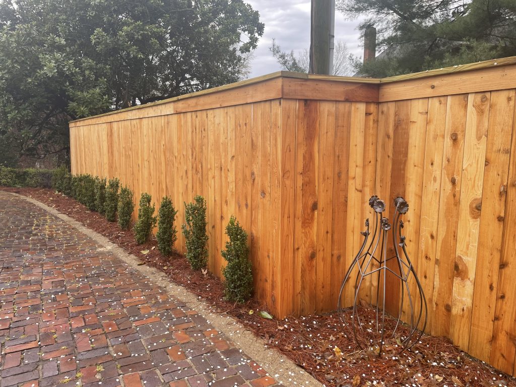 Privacy Fence